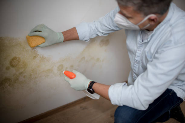 Water Damage Restoration in Mastic, NY